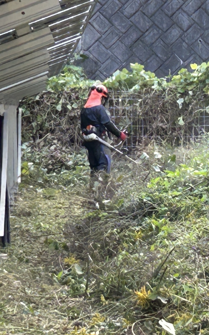 除草・伐採サービス