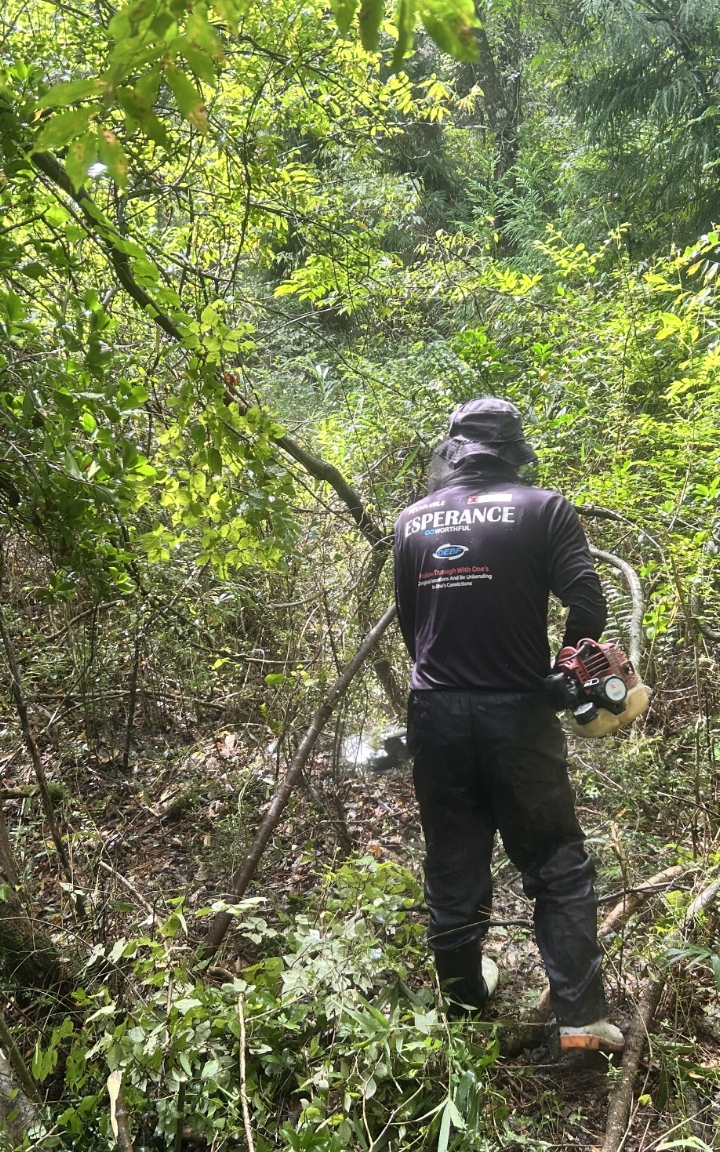 除草・伐採サービス