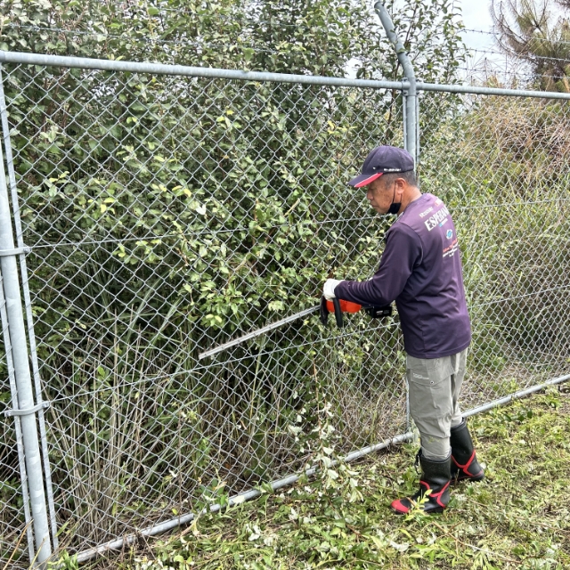 除草・伐採サービス