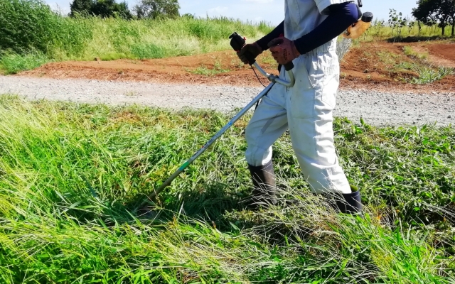 除草サービス